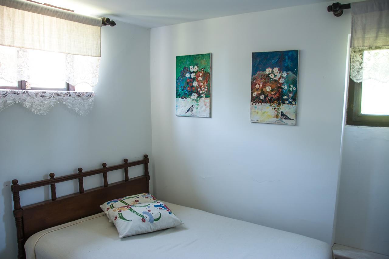 Guest House Vila Albedo Varna エクステリア 写真