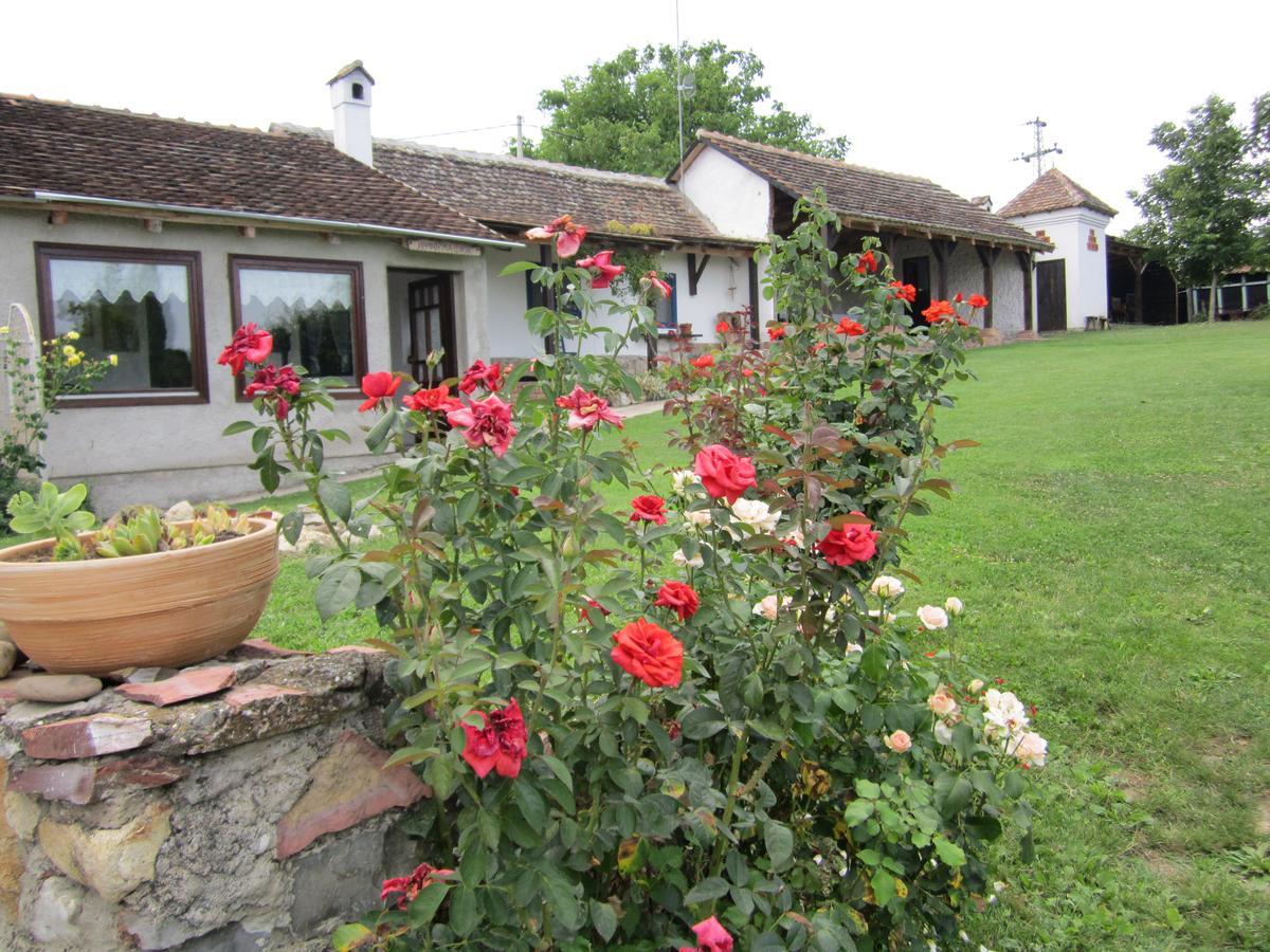 Guest House Vila Albedo Varna エクステリア 写真