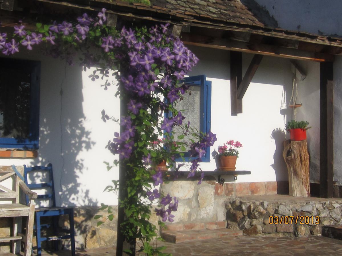 Guest House Vila Albedo Varna エクステリア 写真